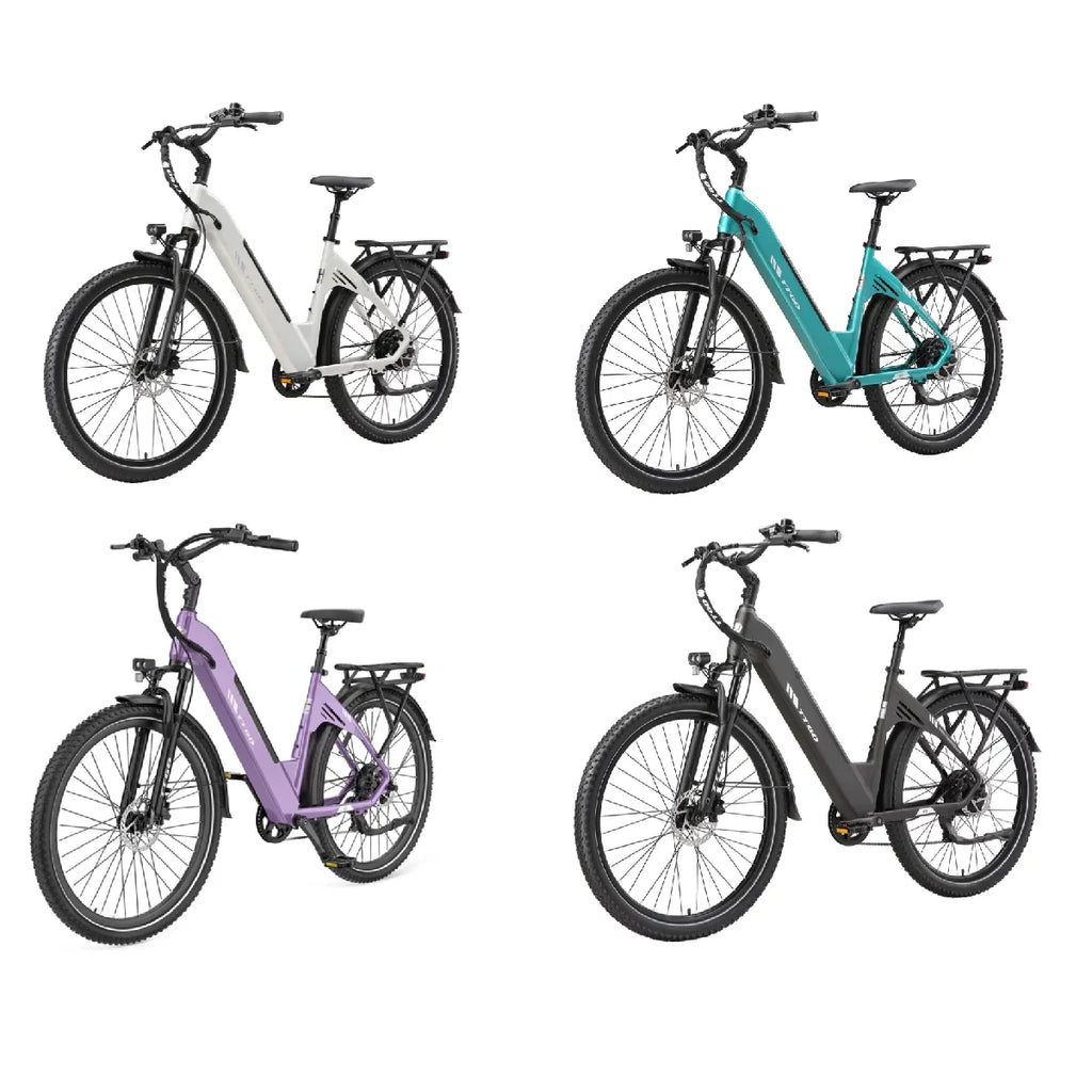 TTGO C5 Vélo Électrique 250W Batterie 48V 13,5Ah 27,5 Pouces