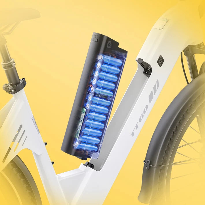 TTGO C5 Vélo Électrique 250W Batterie 48V 13,5Ah 27,5 Pouces